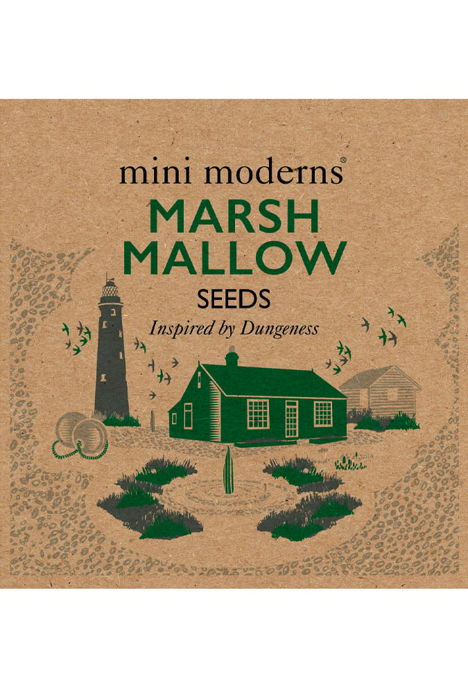 Image of MARSH MALLOW SEEDS