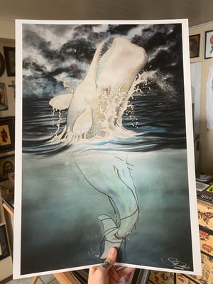 Image of The White Whale (Moby Dick)