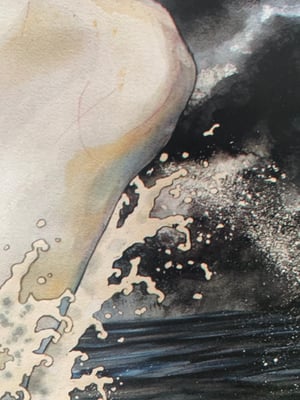 Image of The White Whale (Moby Dick)