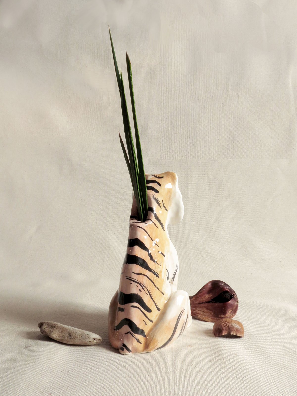 TIGRA VASOSCULTURA