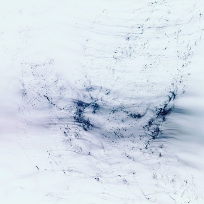 MODEST) BOOKS — (Wolfgang Tillmans)(ウォルフガング MODEST) BOOKS — (Wolfgang Tillmans)(ウォルフガング