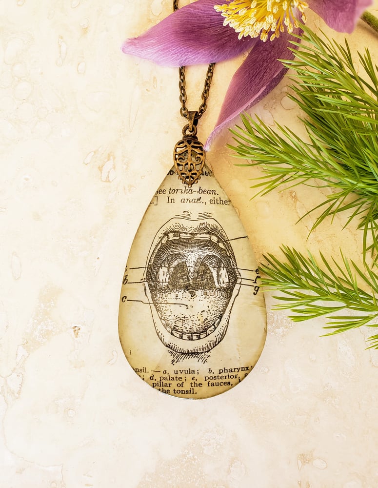 Image of Vintage Anatomical Medical Text Mouth Pendant Necklace