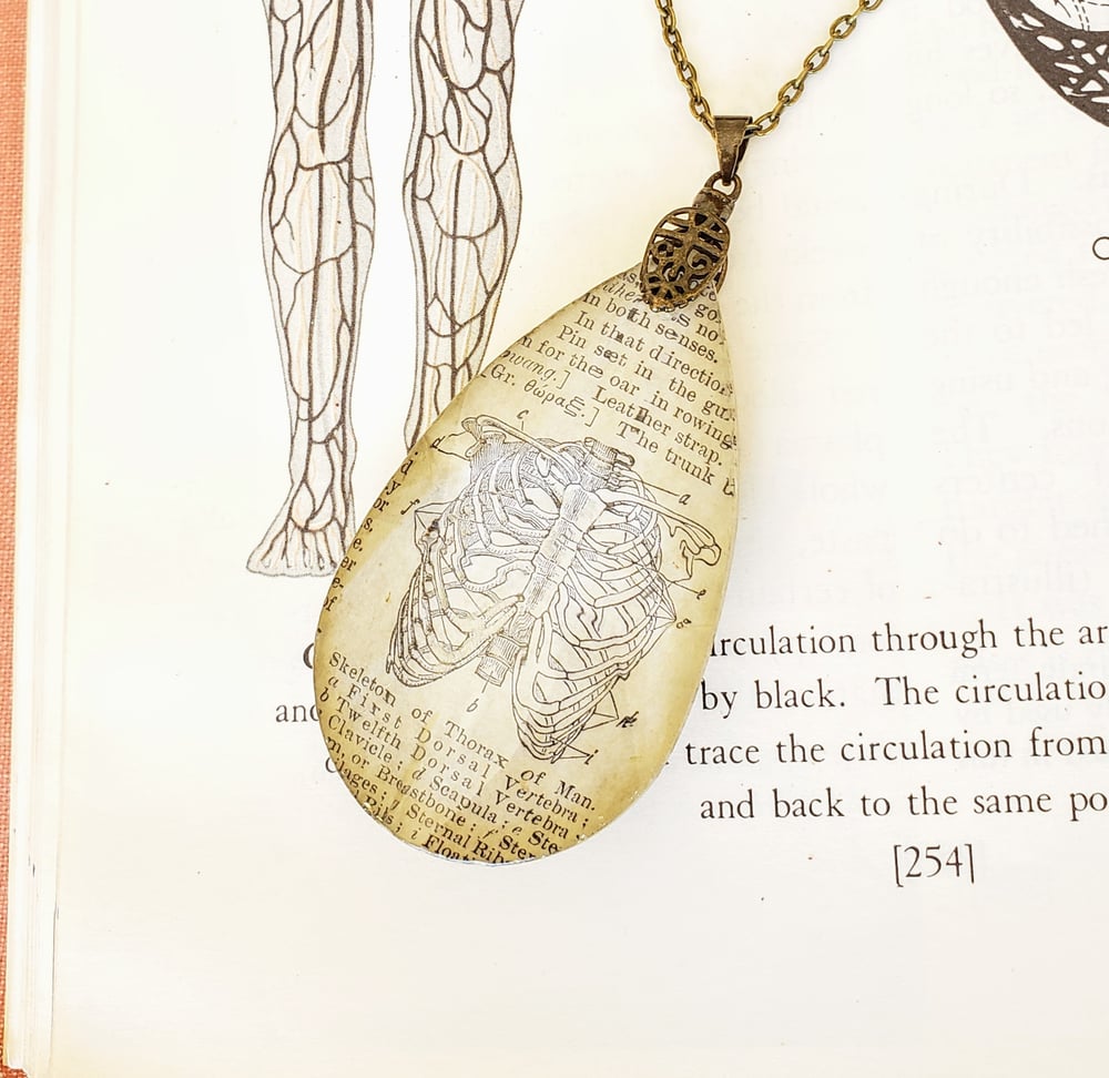 Image of Vintage Anatomical Medical Text Thorax Rib Cage Pendant Necklace