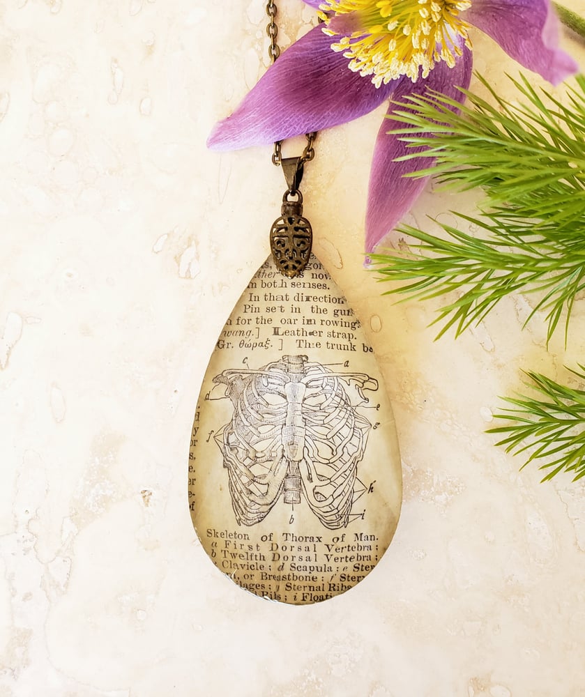 Image of Vintage Anatomical Medical Text Thorax Rib Cage Pendant Necklace