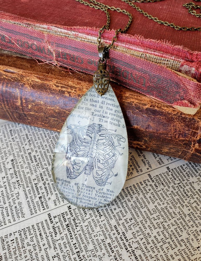 Image of Vintage Anatomical Medical Text Thorax Rib Cage Pendant Necklace