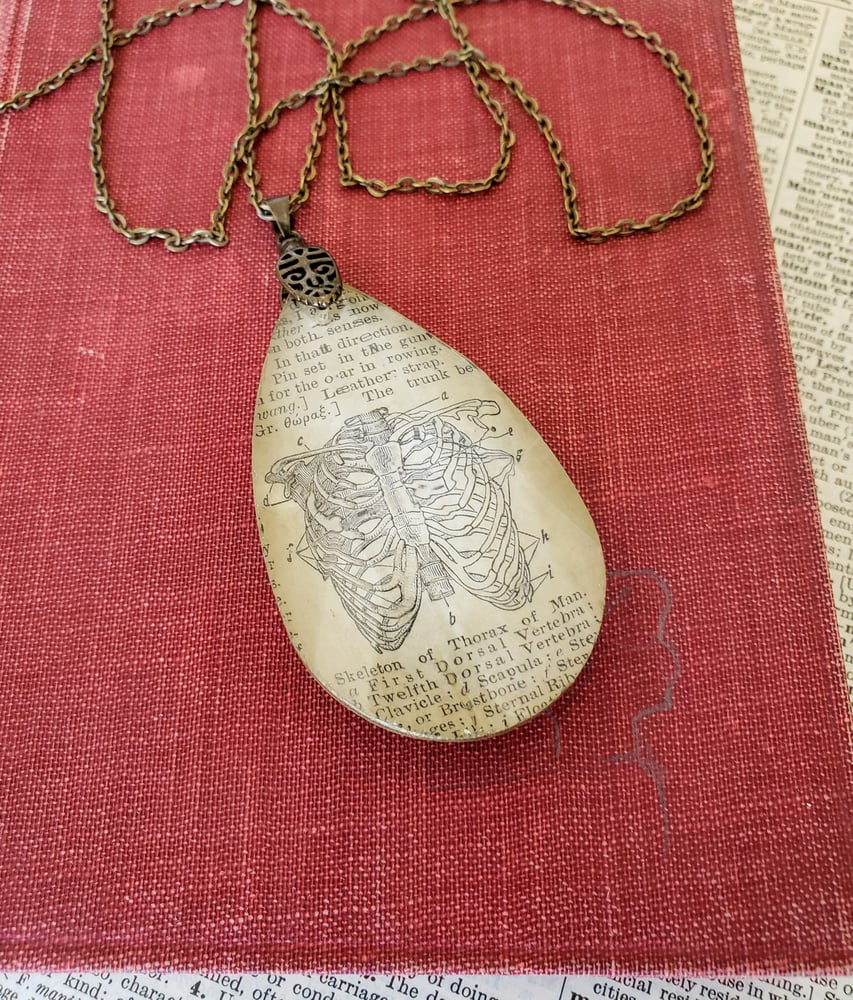 Image of Vintage Anatomical Medical Text Thorax Rib Cage Pendant Necklace