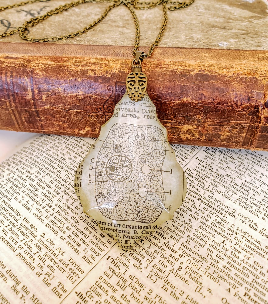 Image of Vintage Anatomical Medical Textbook Cell Science Pendant Necklace