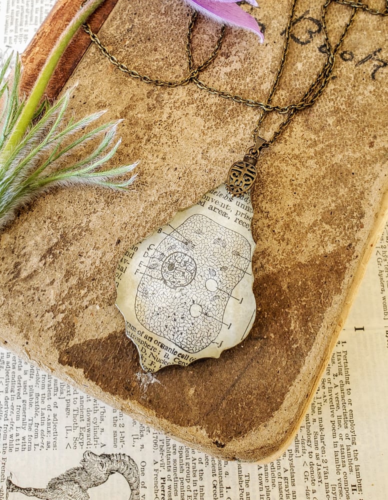 Image of Vintage Anatomical Medical Textbook Cell Science Pendant Necklace