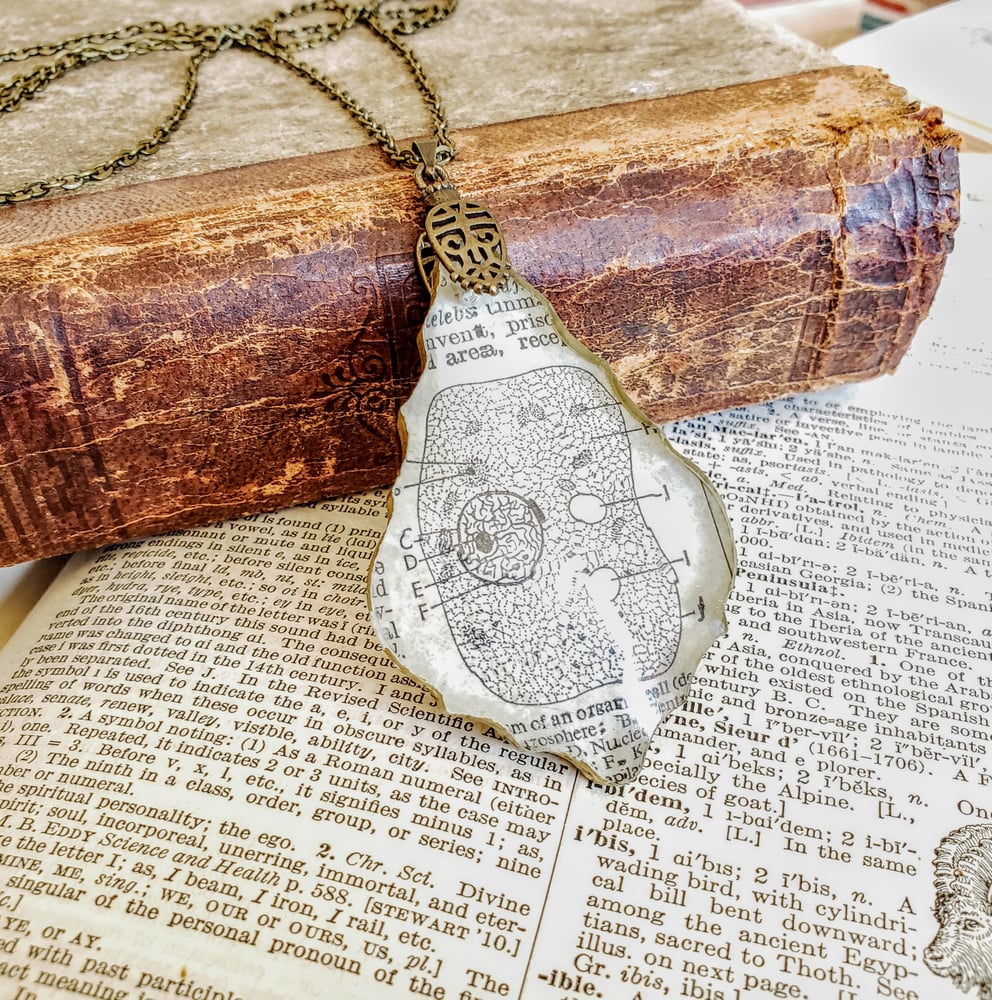 Image of Vintage Anatomical Medical Textbook Cell Science Pendant Necklace