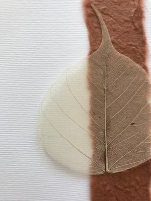 Image of Skeleton Leaf