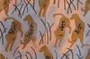 JAGUARS PATTERNS