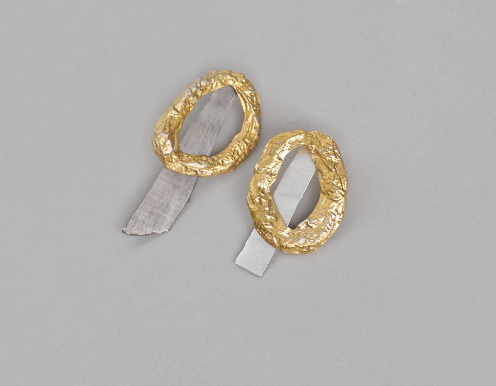 Image of Torus earrings