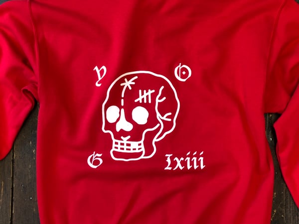 Image of SKULL RED HOODY