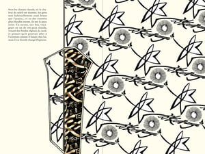 Image of « L'Ombre » d'Andersen