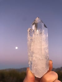 Image 5 of TRIPLE TIPPED MAGIC WAND