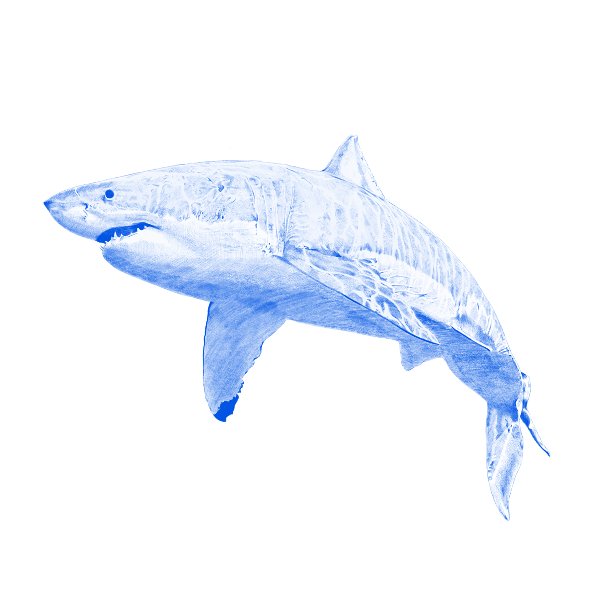 Image of Kyle Hall - The Shark EP - FTC02 - Aquatic Blue
