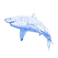 Image 4 of Kyle Hall - The Shark EP - FTC02 - Aquatic Blue