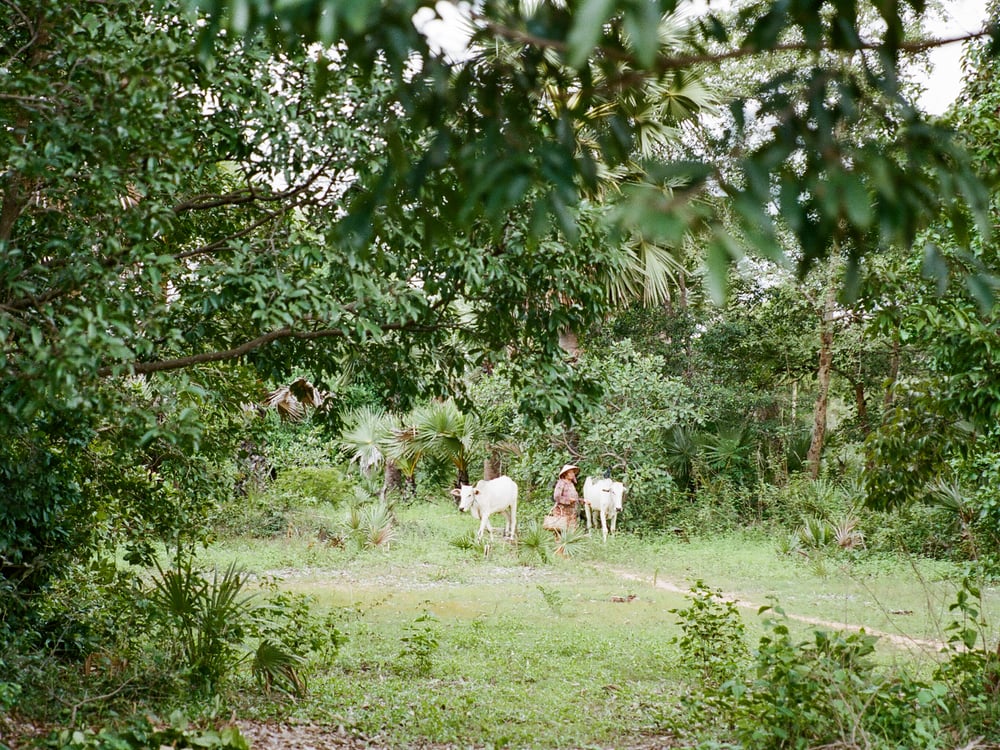 Cambodia II