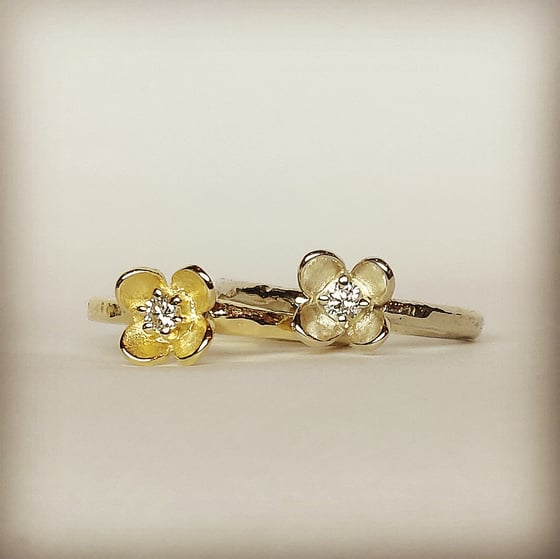 Beeld van Tiny Jasmin n*361