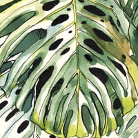 Image 2 of Original painting - Feuillages de Monstera - 28x35 cm