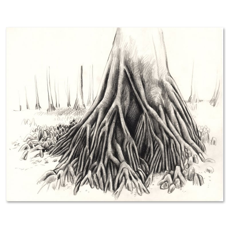 Image of Original painting - La mangrove de Kumawa - 28x35 cm