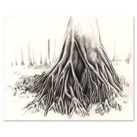 Image 1 of Original painting - La mangrove de Kumawa - 28x35 cm