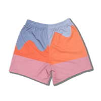 Image 2 of Desert Sands Shorts