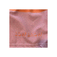 Image 4 of Desert Sands Shorts