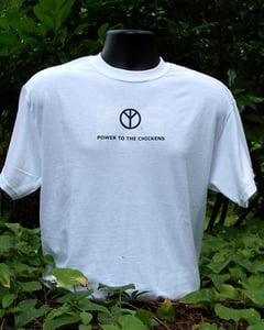 Image of Men's t-shirt