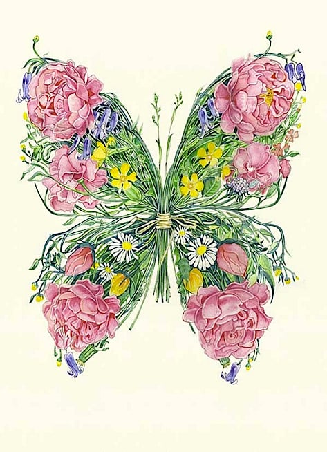 Image of Butterfly Card