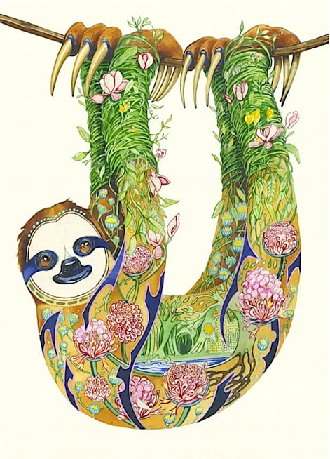 Image of Sloth Card