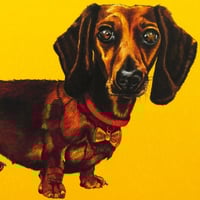Image 1 of Dachshund Card