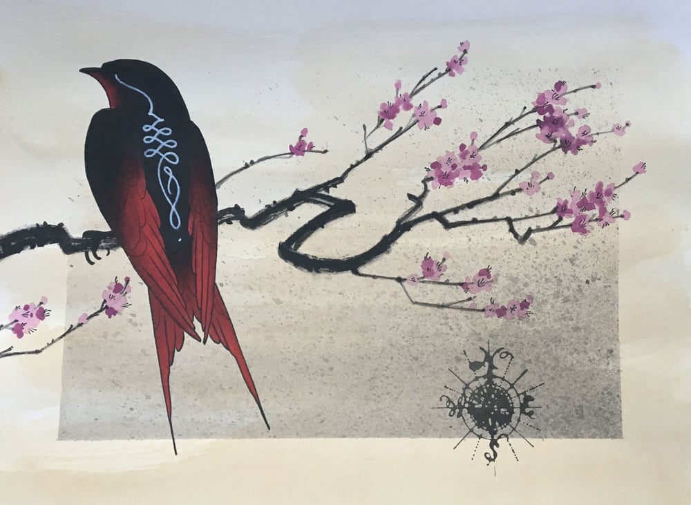 Image of swallow