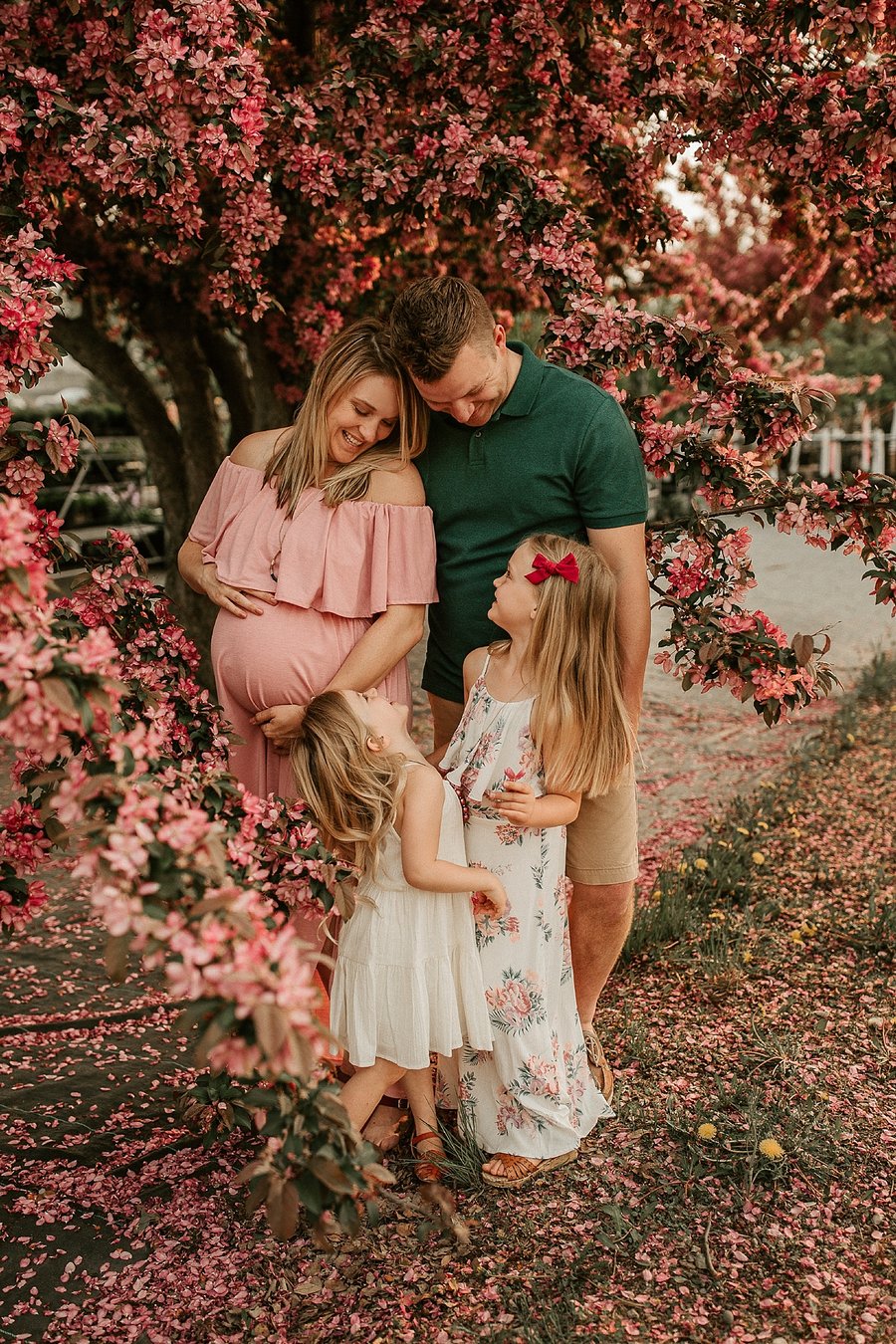 Image of Bloom Family Session - Outdoors/Spring -  May 2025 - $890