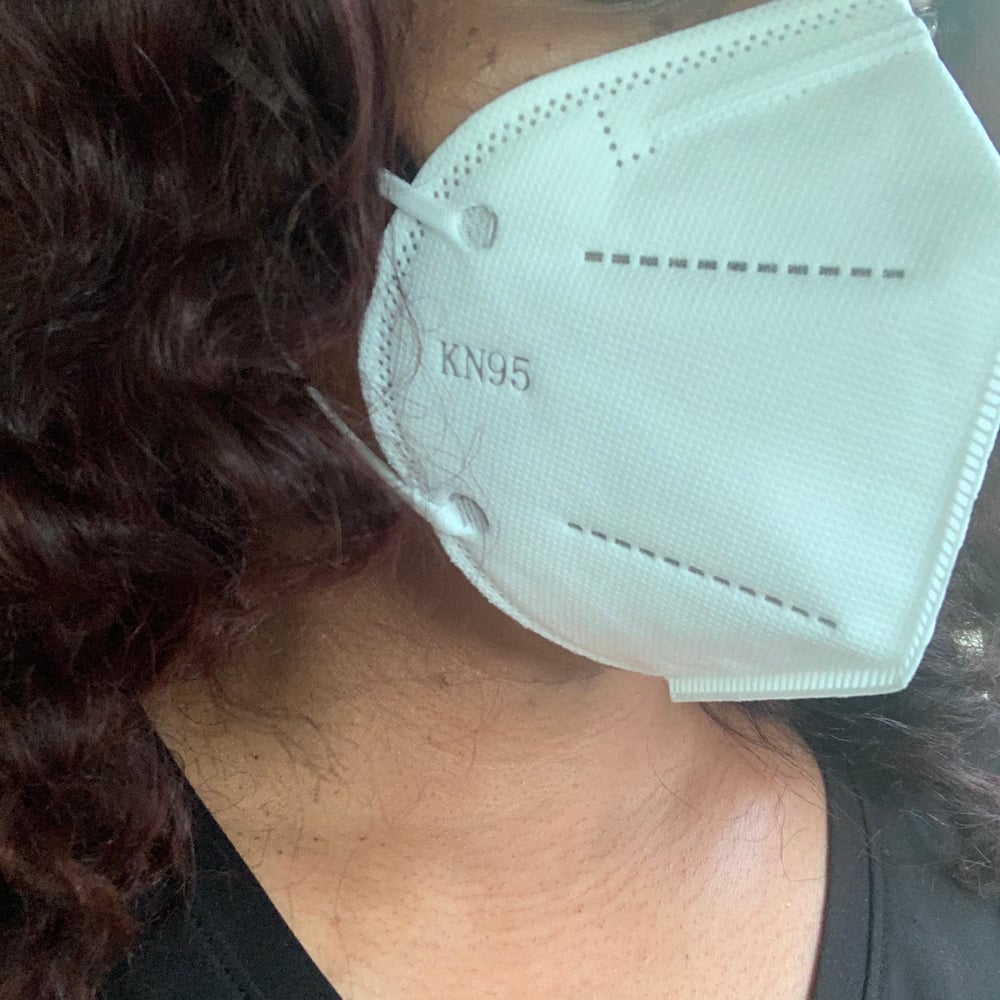 Image of KN 95 Mask  😷shipping now !