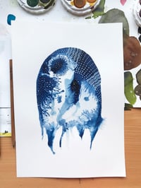 Image 4 of Jellyfish in blue