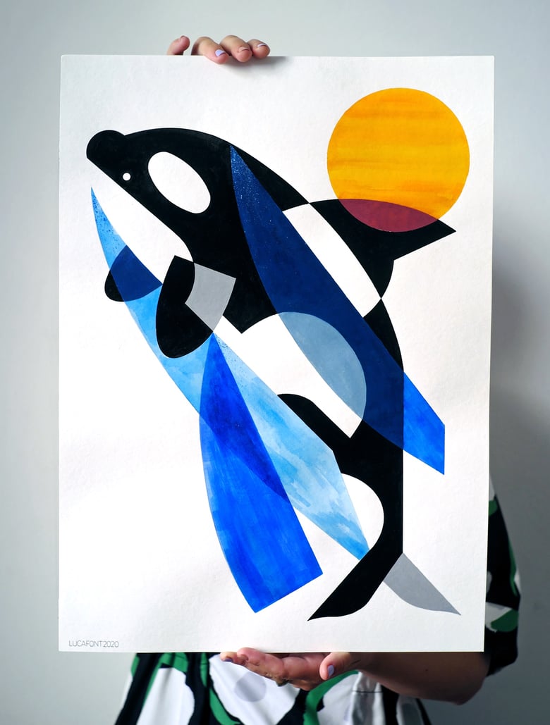 Image of Orca whale