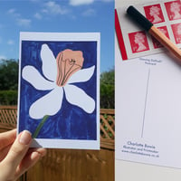 Image 2 of Daffodil Postcard