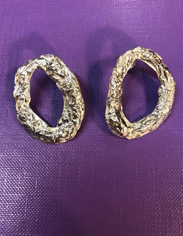 Image of Torus earrings