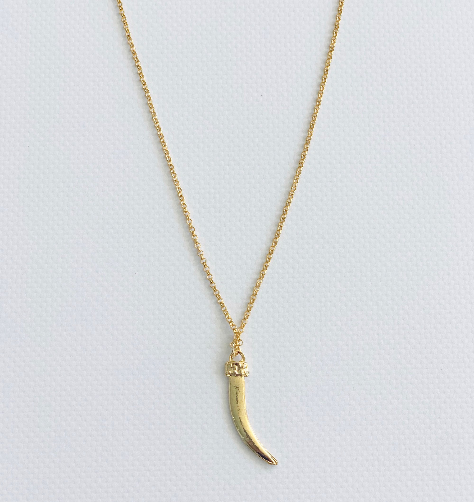 Image of Horn Single Necklace 