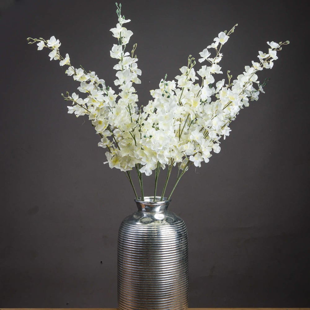 Image of Long Stemmed White Delphinium