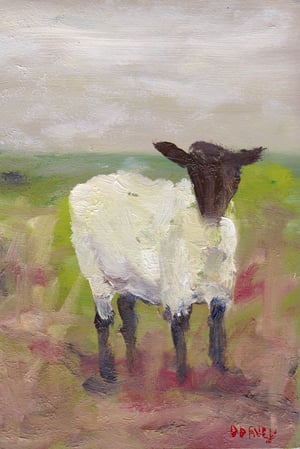 Suffolk Sheep