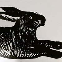 Image 1 of Large Black Rabbit  or Large Red Rabbit