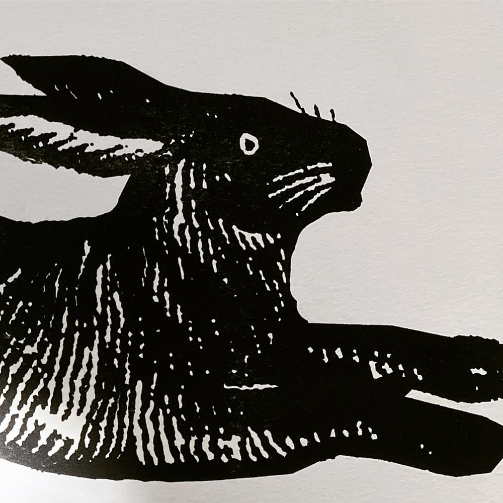 Image of Large Black Rabbit  or Large Red Rabbit