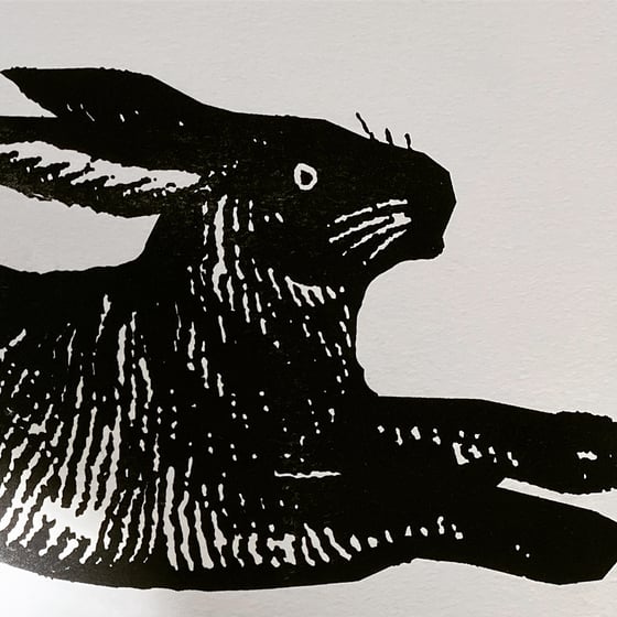 Image of Large Black Rabbit  or Large Red Rabbit