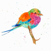 Rainbow Bird Greeting Card