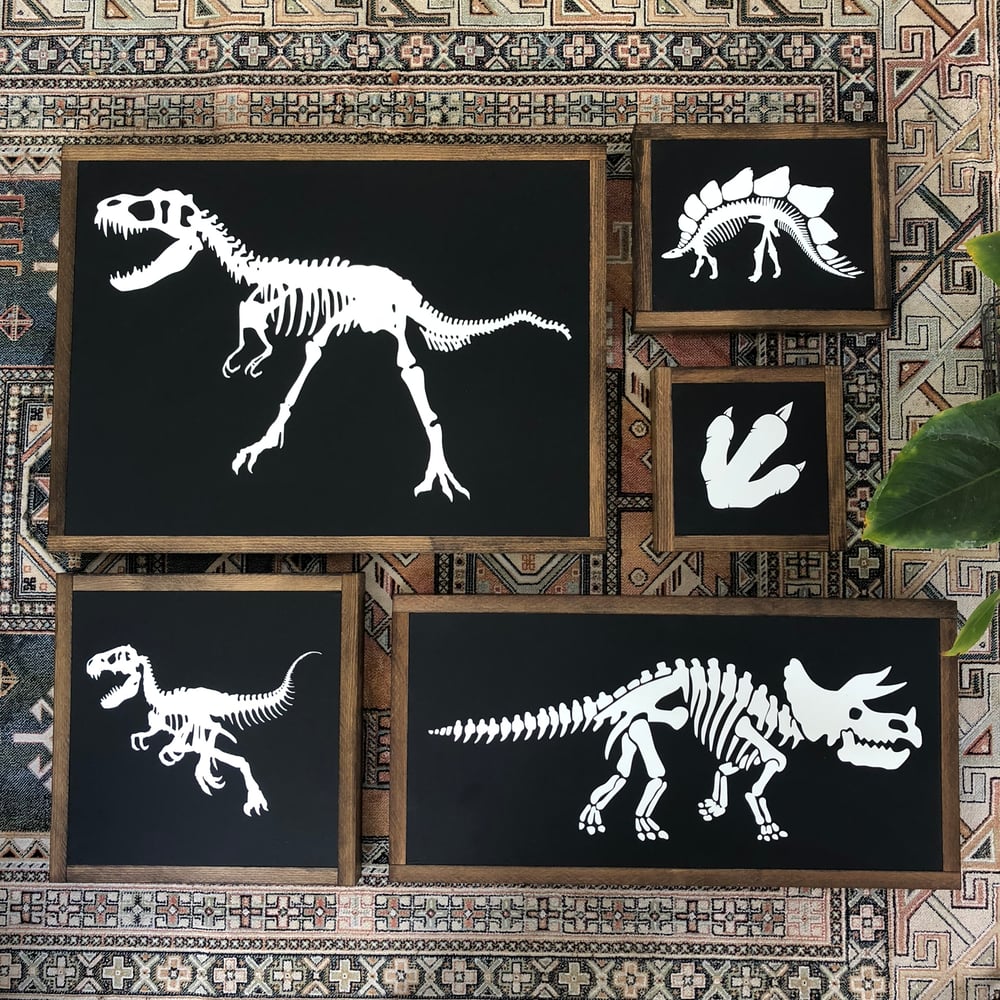 Image of Dino Set 