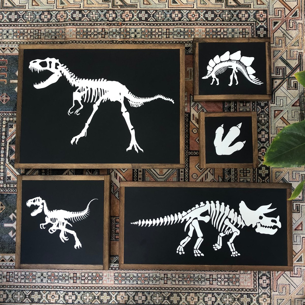 Image of Dino Set 