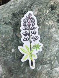 Dark Purple and Black Lupine Sticker