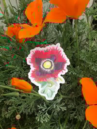 Image 1 of Opium Poppy Sticker